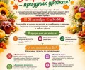 Дом культуры «Юность» в Совхозном ждёт гостей 55+ на осенний фестиваль