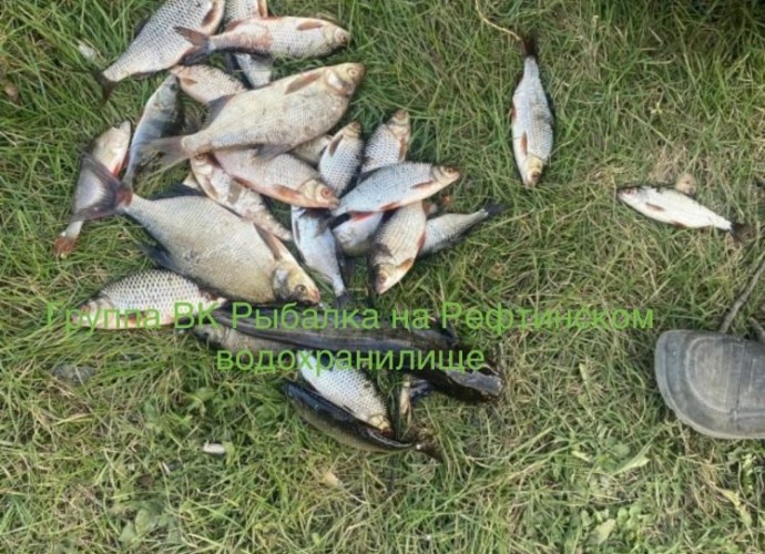 Другая Другая, 