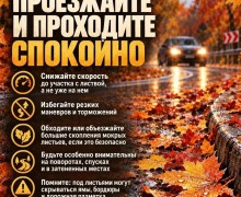 Мокрые листья на дорогах Заречного: как безопасно передвигаться осенью