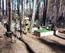 В Заречном стартовала акарицидная обработка общественных пространств