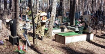 В Заречном стартовала акарицидная обработка общественных пространств