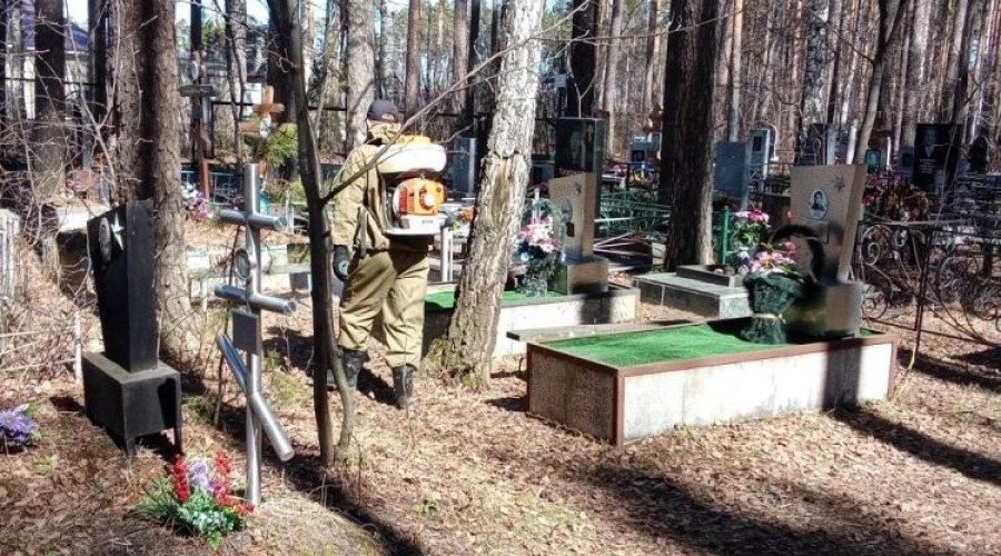 В Заречном стартовала акарицидная обработка общественных пространств