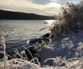 Лёд тает!