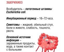 По данным Роспотребнадзора, ежегодно регистрируются десятки тысяч случаев острых кишечных инфекций, особенно в летний период