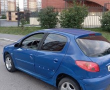 Peugeot 206, 2004