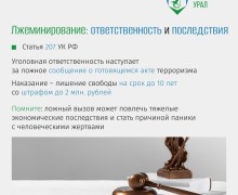 Ложный вызов о взрыве в школе обернулся условным сроком для жителя Ивделя