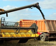 Аграрии Белоярского округа завершают уборочную кампанию, несмотря на потери из-за дождей