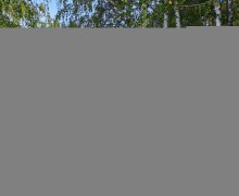 Зареченцы отметили День города активно - спортивным праздником!