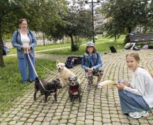 Собачья «Гонка героев» в Заречном: спорт, творчество и помощь приютам