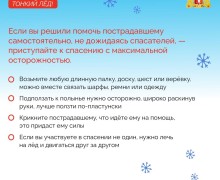 Осторожно, тает лёд!