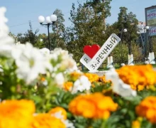 На городские клумбы Заречного скоро высадят 14 тысяч цветов