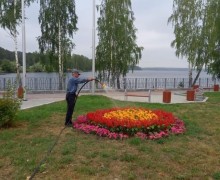 В Заречном объединили контракты на покос травы и озеленение