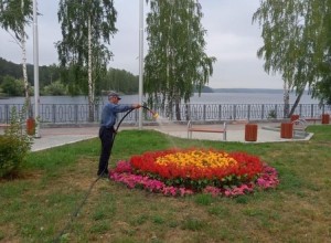 В Заречном объединили контракты на покос травы и озеленение