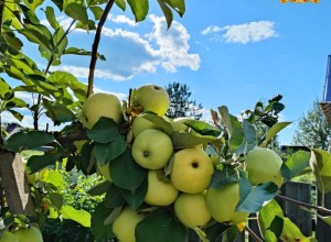 Лето пролетело, оставив яркие воспоминания и прекрасные кадры – от наших подписчиков