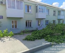 На улице Мира в Заречном проводят расчистку от кустарников