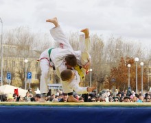 Отличный день для прогулки!