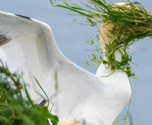 В конце декабря подвели итоги конкурса Comedy Wildlife Photography Awards 2025 - самых забавных фотографий дикой природы