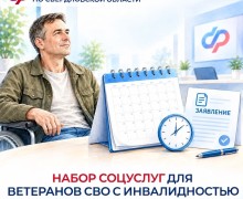 Ветеранам боевых действий с инвалидностью упростят оформление соцуслуг