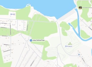 Прокуратура потребовала завести паспорт на улицу Зелёная роща в Заречном