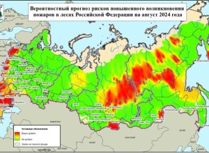 Авиалесоохрана разработала прогноз пожарной опасности в лесах России на март-сентябрь 2024 года