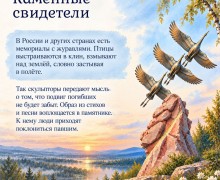22 октября в России и мире отмечают День белых журавлей