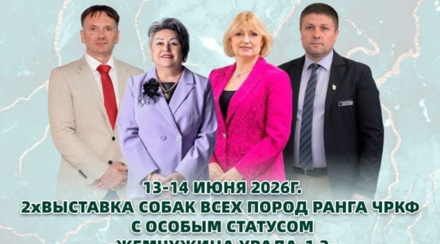 Дальние, но классные планы: летом в Заречном снова пройдёт большая выставка собак!