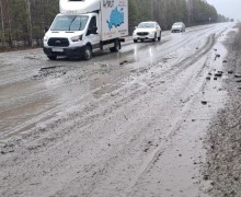 Будьте осторожны по дороге в Асбест (особенно в тёмное время суток)