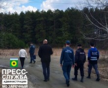 На территории муниципального округа Заречный работают контрольно-патрульные группы