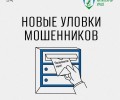 СМС-бомбинг и фейковые онлайн-встречи: жителей предупреждают о новых схемах мошенников