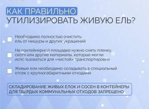 Свердловчане оформили в территориальных лесничествах покупку почти 13 тысяч елей и сосен, чтобы украсить свои дома к Новому году