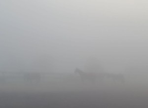 В понедельник Заречный и близлежащие деревни сёла накрыл туман
