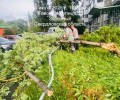 Последствия непогоды в Заречном устраняют оперативно