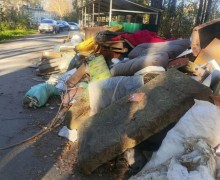 Серый котик с Муранитки ищет дом до холодов