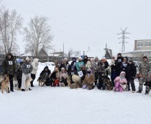 В выходные зареченские собачники соревновались в Асбесте на Зарничке