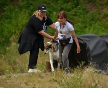 В субботу, 16 августа, под Асбестом прошла Гонка героев, в которой участвовали команды человек и собака