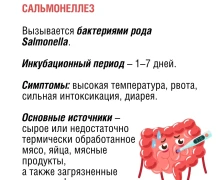 По данным Роспотребнадзора, ежегодно регистрируются десятки тысяч случаев острых кишечных инфекций, особенно в летний период