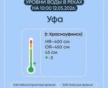 Весеннее половодье в Свердловской области: ситуация на 7 затопленных мостах и 19 населённых пунктах