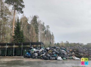 На старом кладбище Заречного гора мешков с мусором переросла контейнерную площадку