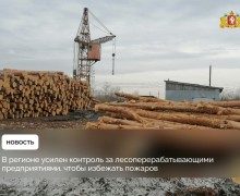 Сотрудники Минприроды Свердловской области усилили контроль за лесоперерабатывающими предприятиями в связи со стартом пожароопасного сезона
