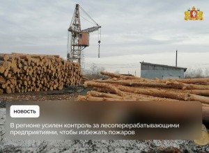 Сотрудники Минприроды Свердловской области усилили контроль за лесоперерабатывающими предприятиями в связи со стартом пожароопасного сезона