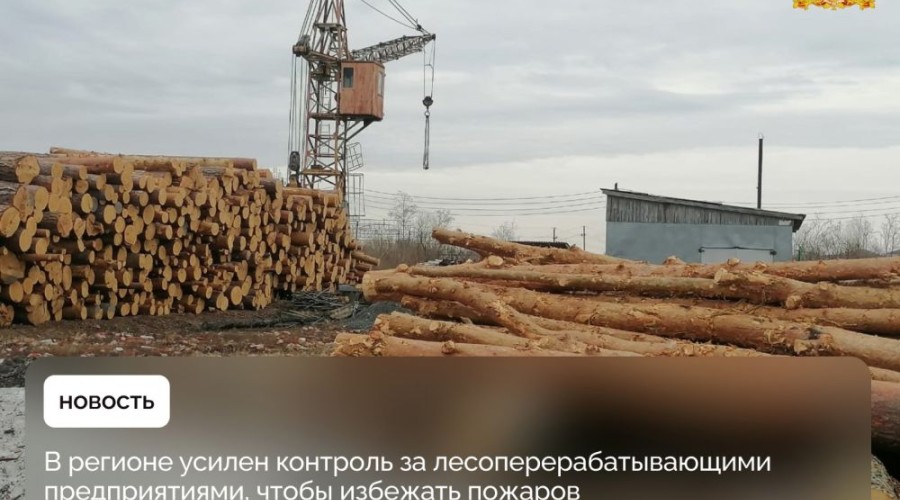 Сотрудники Минприроды Свердловской области усилили контроль за лесоперерабатывающими предприятиями в связи со стартом пожароопасного сезона