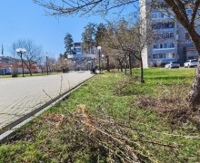 В Заречном проводят сезонную обрезку зелёных насаждений