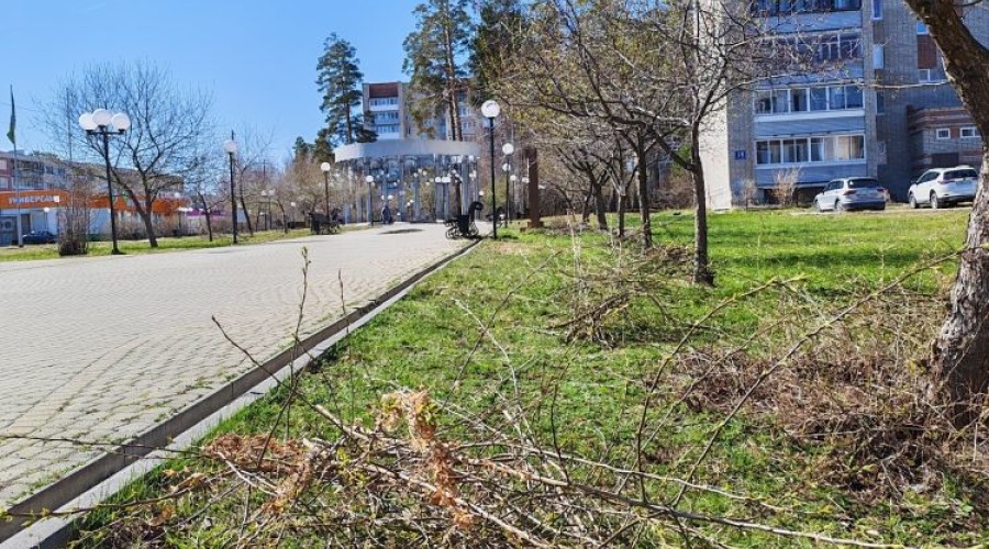 В Заречном проводят сезонную обрезку зелёных насаждений