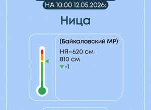 Весеннее половодье в Свердловской области: ситуация на 7 затопленных мостах и 19 населённых пунктах
