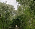 Зареченцы выбрали для благоустройства аллею от Дома торговли до УрТК