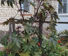 Продаётся тёплая трёхкомнатная квартира в Белоярском, 61,5 м²