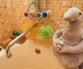 Жители микрорайона Заречного остались без горячей воды
