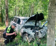 Сотрудники Госавтоинспекции Заречного устанавливают обстоятельства ДТП с пьяным водителем
