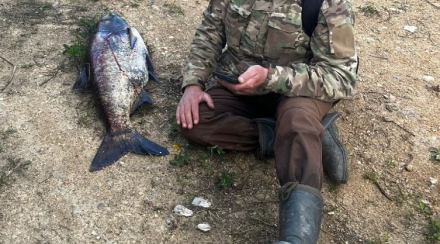 На жителя Екатеринбурга завели уголовное дело за незаконную рыбалку на Белоярском водохранилище