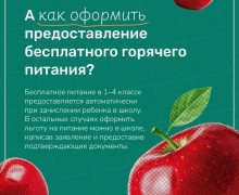 Бесплатное питание в школах: кто имеет право и как оформить льготу